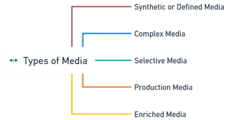 Types of Media