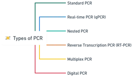Types of PCR