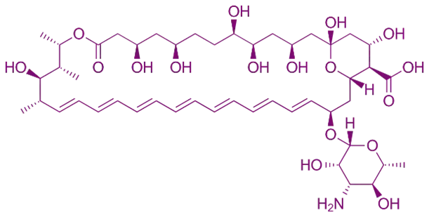 Amphotericin B