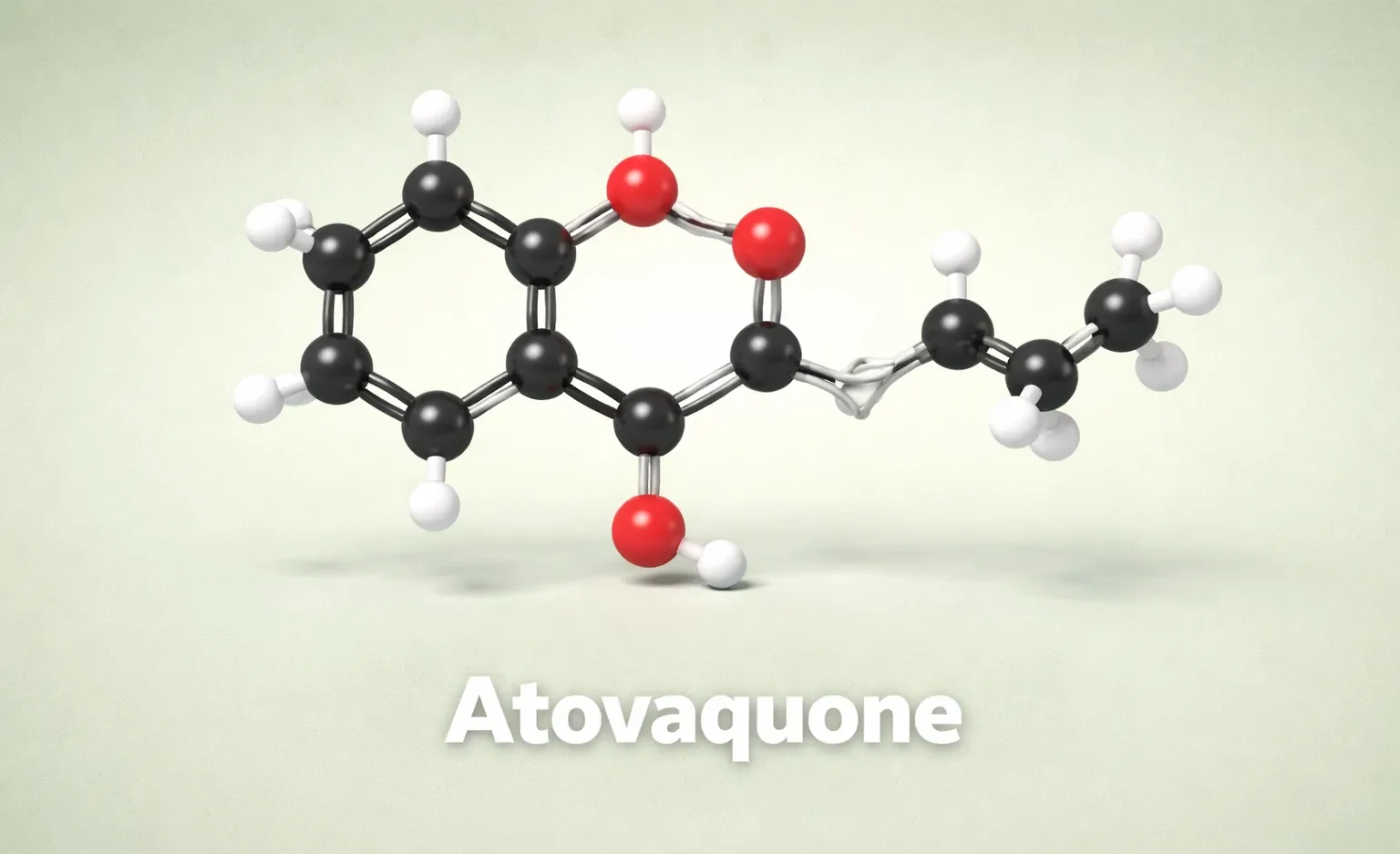 Atovaquone