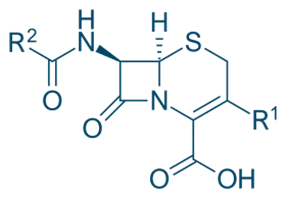 Cephalosporins