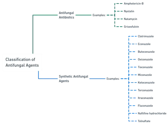 Classification of Antifungal Agents
