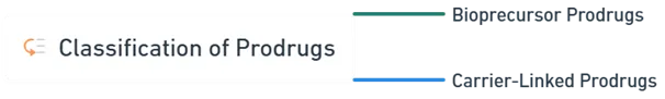 Classification of Prodrugs