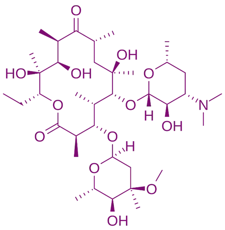 Erythromycin
