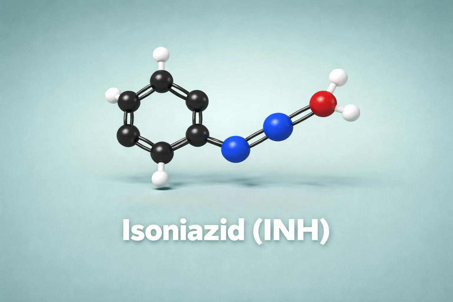 Isoniazid (INH)