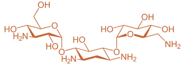 Kanamycin
