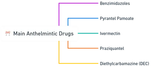 Main Anthelmintic Drugs Main Anthelmintic Drugs