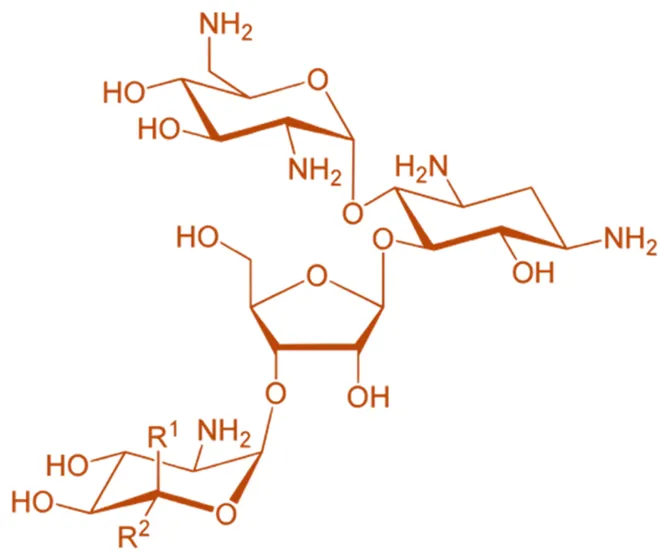 Neomycin