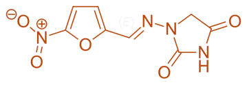 Nitrofurantoin Nitrofurantoin
