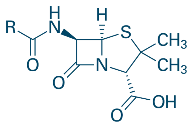 Penicillins Penicillins