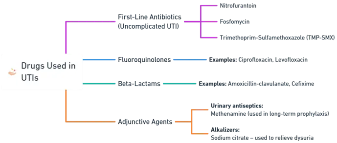 Pharmacology of Drugs for Urinary Tract Infections (UTIs) Pharmacology of Drugs for Urinary Tract Infections (UTIs)