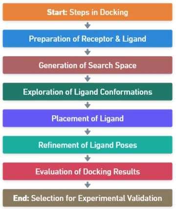 Steps in Docking