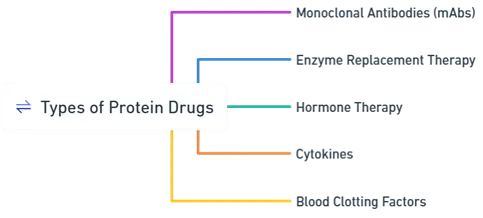 Types & Examples of Protein Drugs Types & Examples of Protein Drugs