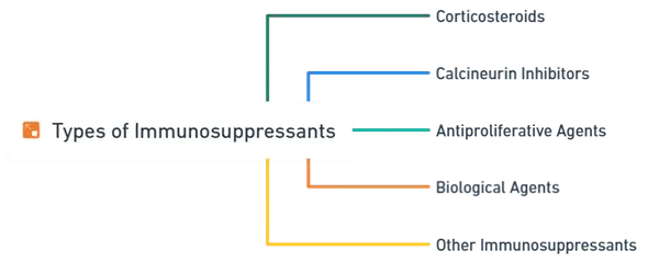Types of Immunosuppressants