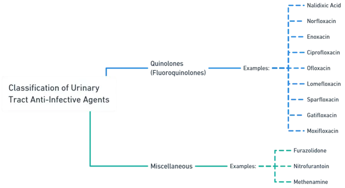 Urinary Tract Anti-Infective Agents