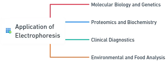 Application of Electrophoresis