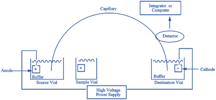 Capillary Electrophoresis (CE)