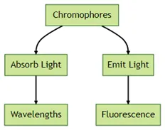 Chromophores