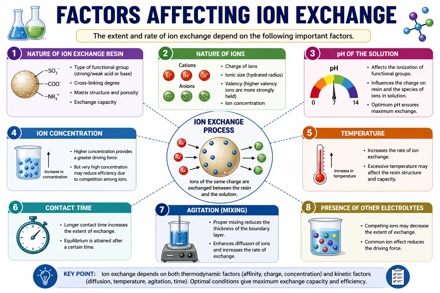 Factors Affecting Ion Exchange