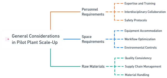 General Considerations in Pilot Plant Scale-Up