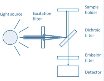 Instrumentation & Applications in Fluorimetry