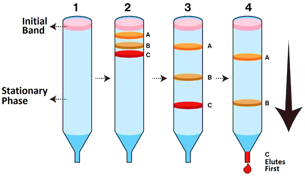 Introduction: Gel Chromatography