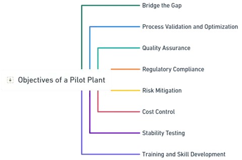 Objectives of a Pilot Plant