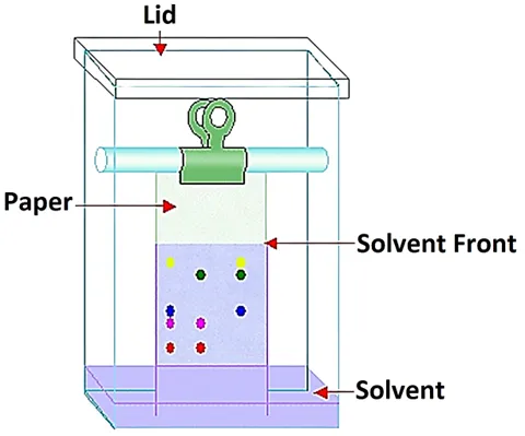 Paper Chromatography