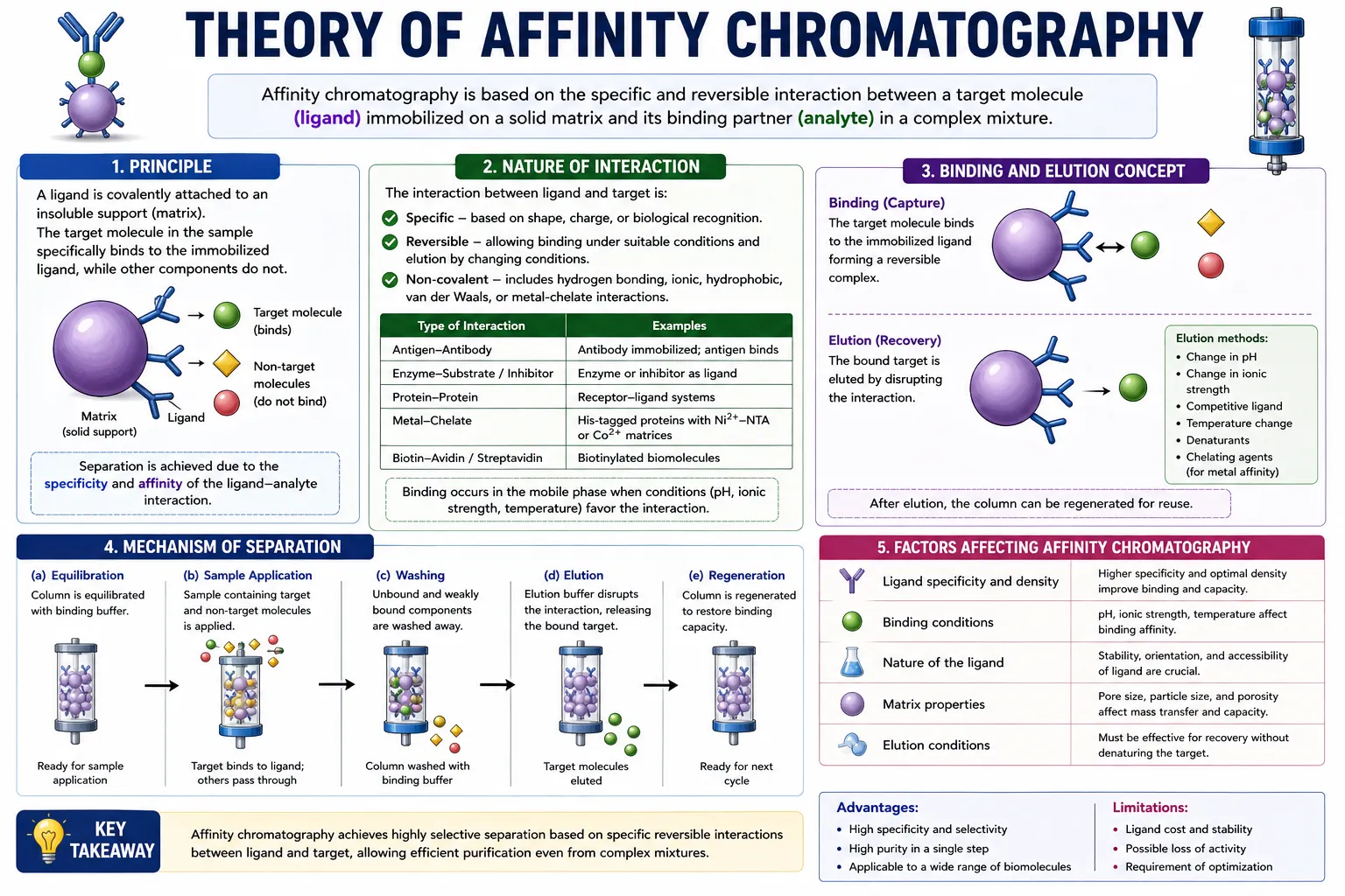 Theory of Affinity Chromatography